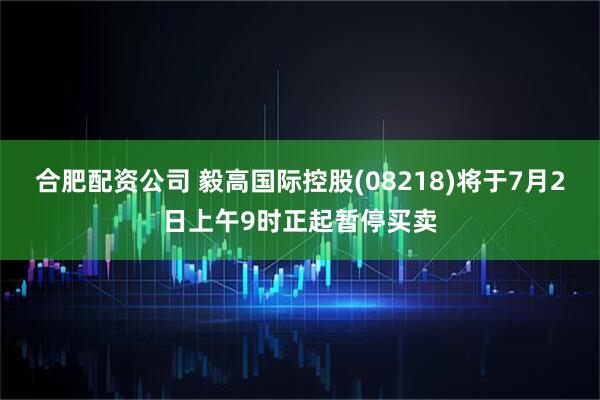 合肥配资公司 毅高国际控股(08218)将于7月2日上午9时正起暂停买卖