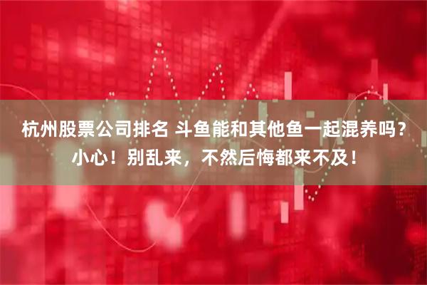 杭州股票公司排名 斗鱼能和其他鱼一起混养吗？小心！别乱来，不然后悔都来不及！