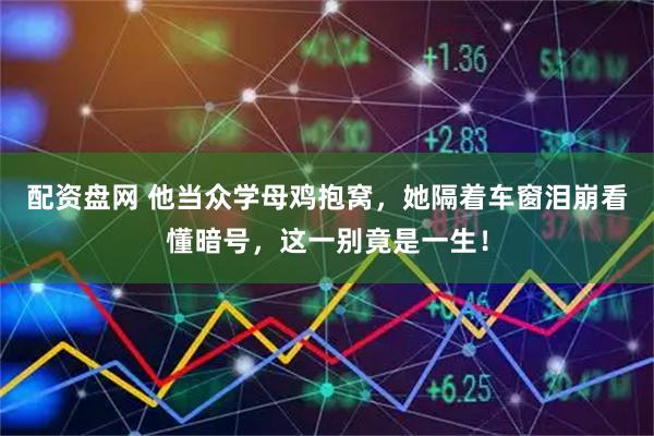 配资盘网 他当众学母鸡抱窝，她隔着车窗泪崩看懂暗号，这一别竟是一生！